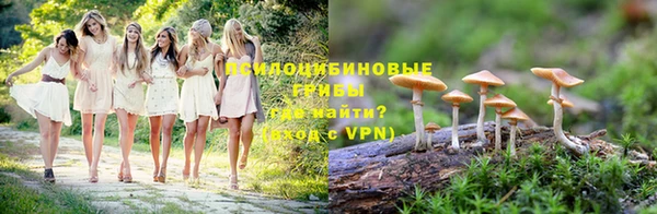 а пвп мука Ростов