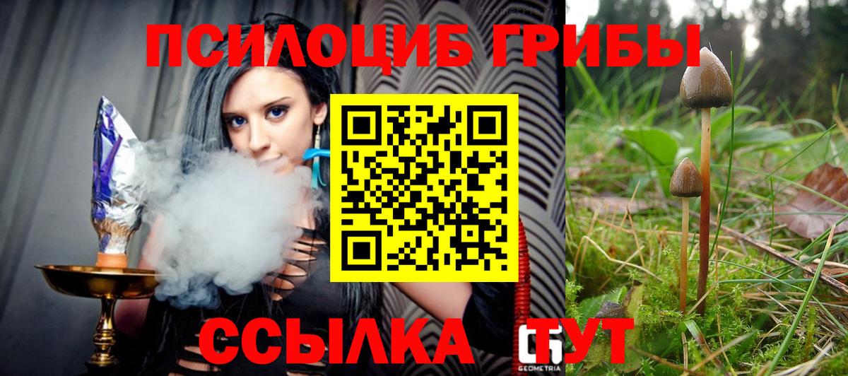 Псилоцибиновые грибы прущие грибы Алапаевск