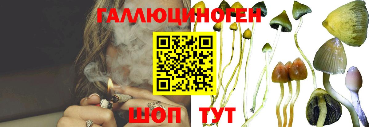 ГАШИШ  MDMA  МЕТАМФЕТАМИН  COCAIN  Экстази  КОКАИН  МАРИХУАНА  ГАШИШ  МЕФ кристаллы  Алапаевск  Вход с VPN 